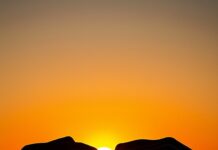 Love Wallpaper with a close up of a couple's hands forming a heart shape against the backdrop of a sunset, creating a warm and loving mood.