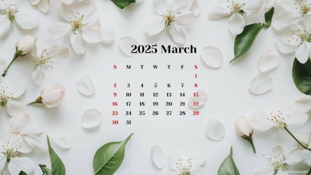 March 2025 Calendar Background 3.