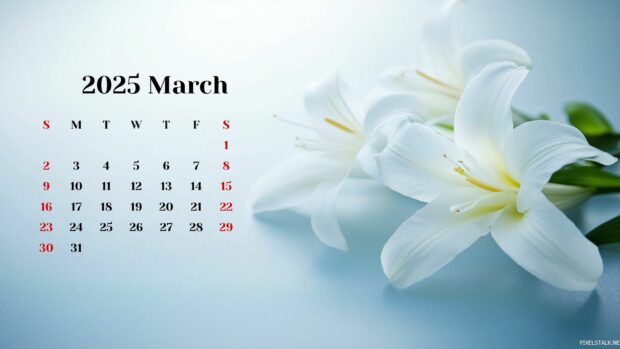 March 2025 Calendar Background 7.