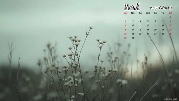 March 2025 Calendar Desktop Background 1.