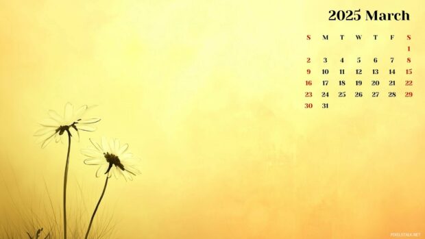 March 2025 Calendar HD Wallpaper 1080p 1.