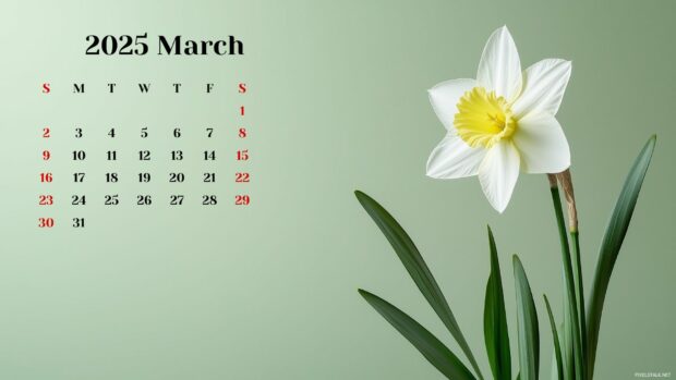 March 2025 Calendar HD Wallpaper 1080p 6.