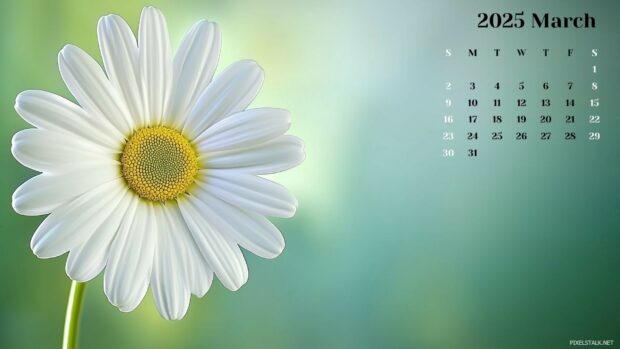 March 2025 Calendar Wallpaper HD 1.