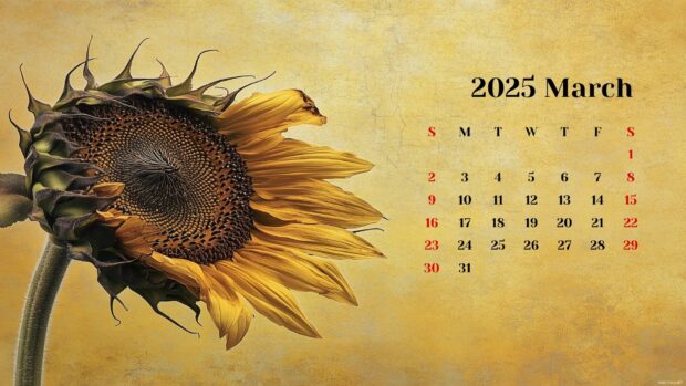 March 2025 Calendar Wallpaper HD 6.