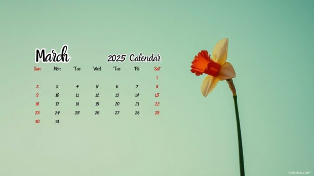 March 2025 Calendar Wallpaper HD for Desktop free download 2.