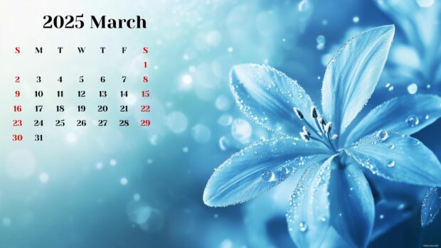 March 2025 Calendar Wallpaper HD for Desktop free download 7.