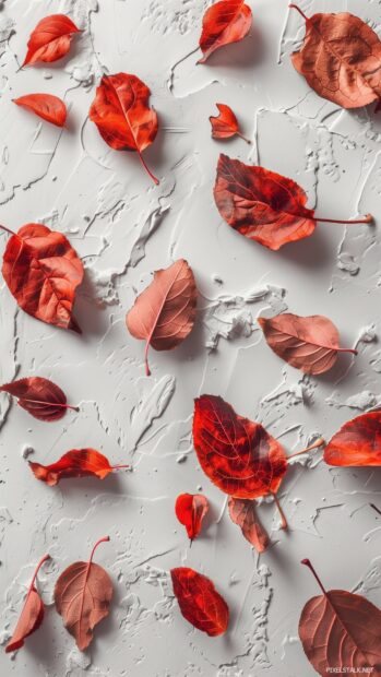 Minimalist autumn leaves on a white background.