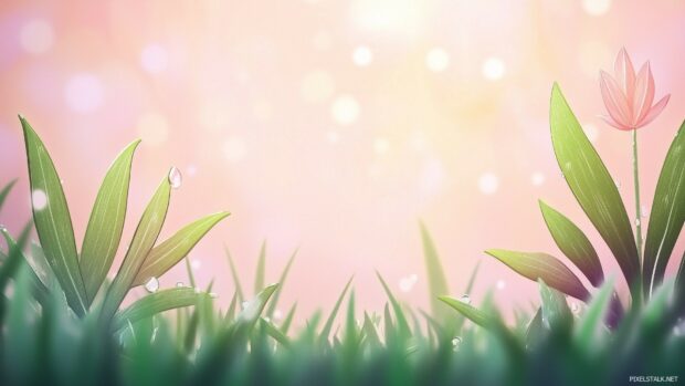 Minimalist springtime scene with fresh green grass, dewdrops glistening in soft sunlight, and a blurred pastel background.