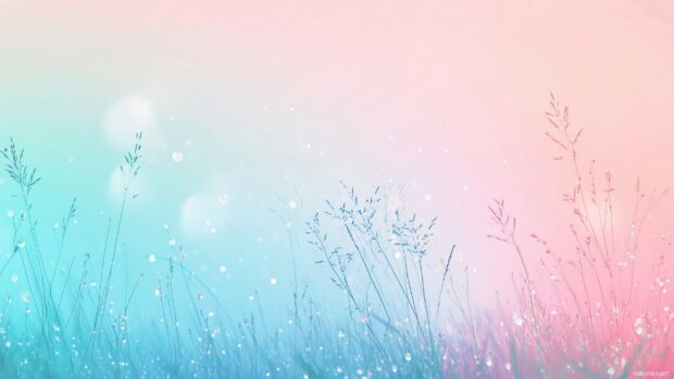 Minimalist springtime wallpaper with fresh green grass, dewdrops glistening in soft sunlight, and a blurred pastel background.