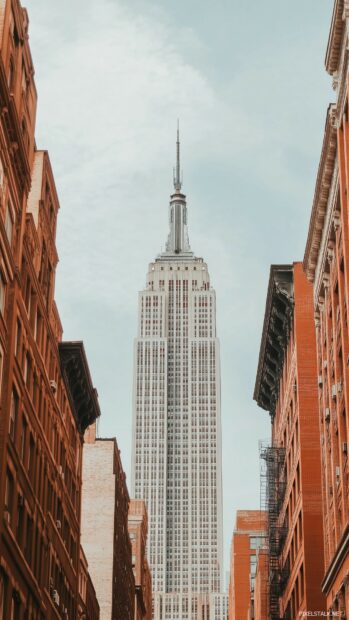 Minimalistic City iPhone wallpaper of the Empire State Building rising above the surrounding buildings.