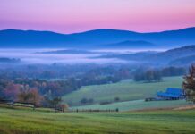 Misty blue Mountains stretching into the horizon under a soft pastel sky.