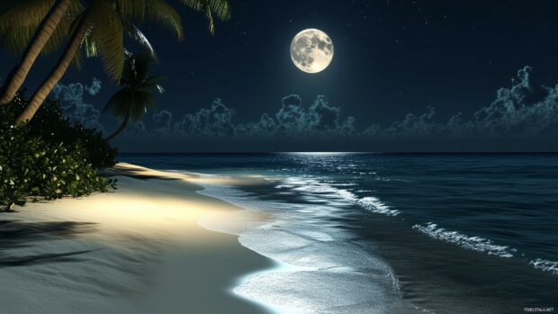 Moon HD Wallpaper with a quiet beach scene under moonlight, with the sand and gentle waves glowing softly, framed by palm trees and a calm night sky.