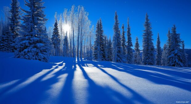 Moonlight desktop wallpaper with a snowy landscape glowing under the full moon.