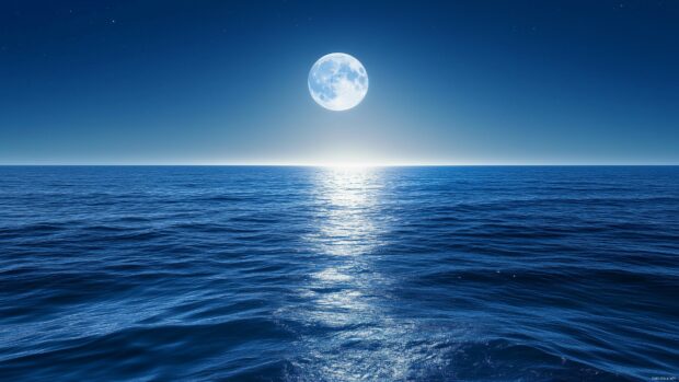 Moonlight reflecting on calm ocean waves under a cloudless sky.