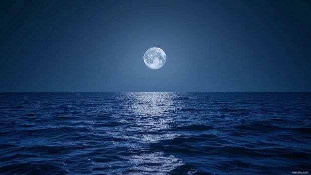 Moonlight reflecting on calm ocean waves under a cloudless sky, creating a shimmering path across the water1.