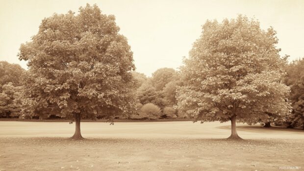 Old fashioned sepia toned trees shedding autumn leaves.