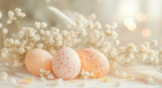 Pastel painted Easter eggs in an elegant arrangement with delicate flowers and feathers on a light surface.