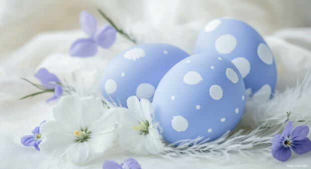 Pastel painted Easter eggs in an elegant arrangement with delicate flowers and feathers on a light surface.