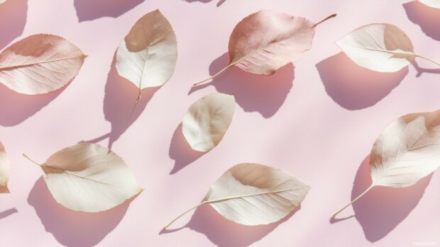 Pastel pink fall leaves with gentle shadows on a smooth light pink background.