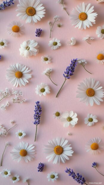 Pastel spring season flowers like daisies, tulips, and lavender, scattered on a soft blush pink background with a clean and minimalist design.