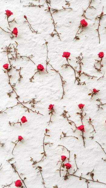 Pattern of small red roses and tiny hearts against a soft white backdrop for a romantic, classic Valentines tile design.