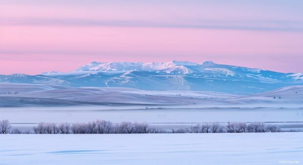 Pink winter dawn over a snowy mountain range.