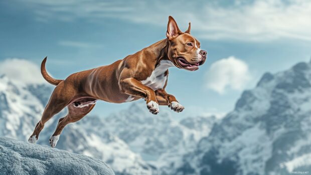 Pitbull dog in a dynamic pose with a serene mountain landscape in the background, emphasizing its strength and agility.