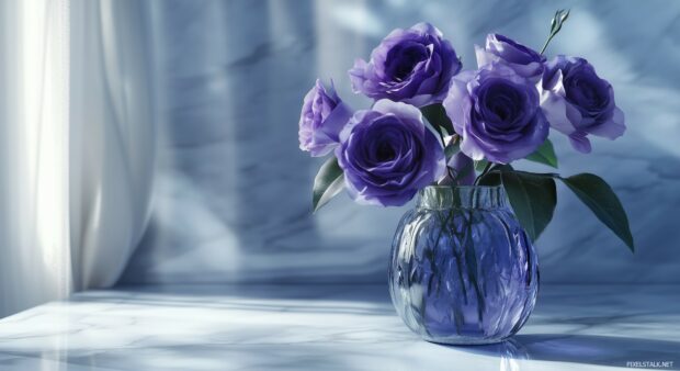 Purple rose HD desktop wallpaper.