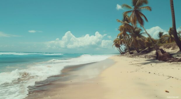 Quiet beach 1080p HD Wallpaper with turquoise water, white sand, and swaying palm trees.