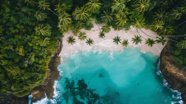 Quiet beach with turquoise water, white sand, and swaying palm trees.