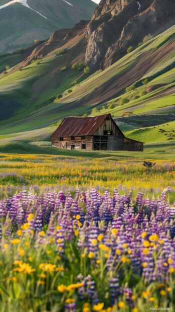 Rustic spring barn surrounded by green pastures and blooming wildflowers.