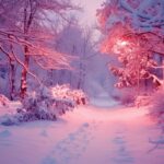 Scene wallpaper with winter snowy path through a forest.