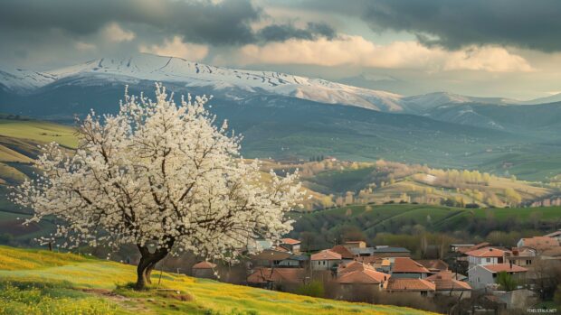 Scenic spring flower with mountains in the background.