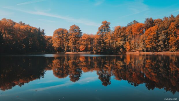 Scenic view of autumn trees by a lake.