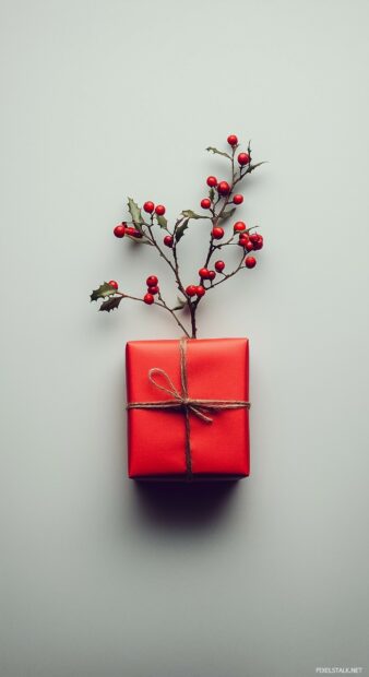 Simple Christmas wallpaper with a soft background with a small, simple Christmas gift wrapped in red, with minimal decorations.