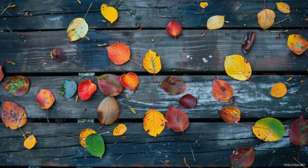 Simple arrangement of autumn leaves on a wooden table.