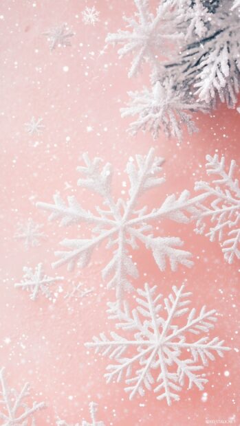 Soft pink Christmas Wallpaper with delicate white snowflakes and stars.