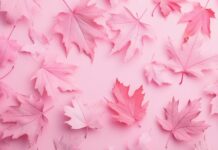 Soft pink autumn leaves scattered across a pale pink background.