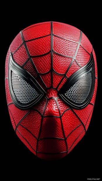 Spiderman mask with a web pattern overlay on a solid black background.