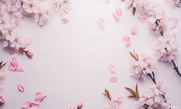 Spring Flowers Desktop Wallpaper HD with a flat lay of colorful spring blossoms on a white background.