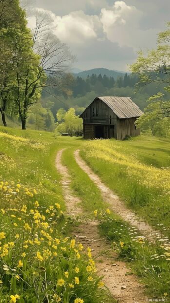 Spring wallpaper with a rustic spring barn surrounded by green pastures and blooming wildflowers.