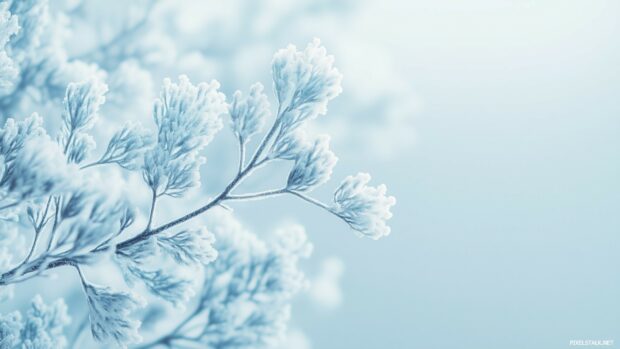 Subtle gradient of cool winter blues and whites, transitioning smoothly to create a serene and elegant winter backdrop.