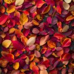 Vibrant fall leaves scattered on the ground with a mix of red, orange, and yellow hues, Autumn phone wallpaper.