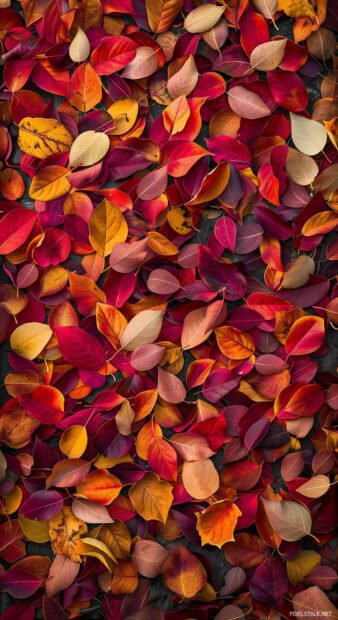 Vibrant fall leaves scattered on the ground with a mix of red, orange, and yellow hues, Autumn phone wallpaper.