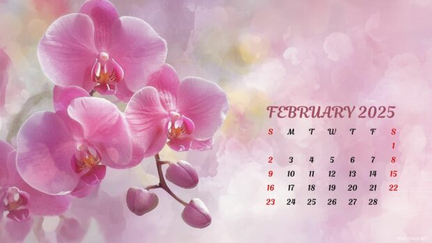 Wallpaper 2025 January Calendar.