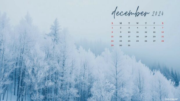 Winter December 2024 Calendar Desktop Wallpaper HD.