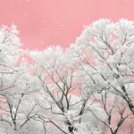 Winter PC wallpaper with snow covered trees with a pink winter sky.