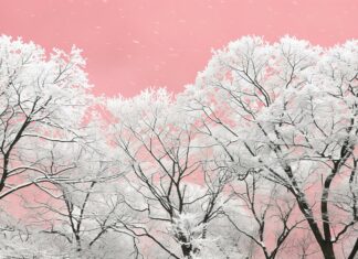 Winter PC wallpaper with snow covered trees with a pink winter sky.