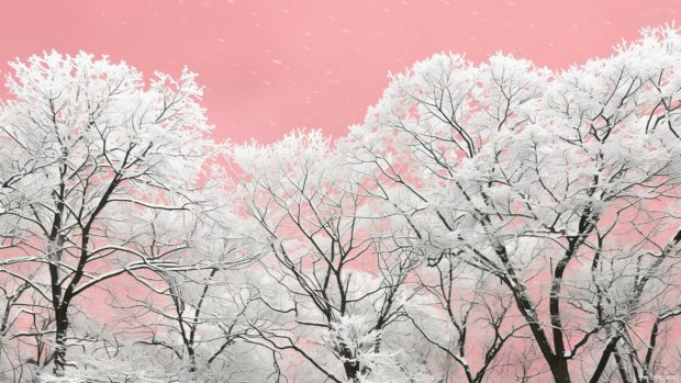 Winter PC wallpaper with snow covered trees with a pink winter sky.