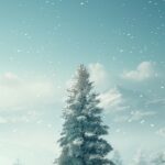 Winter landscape phone wallpaper featuring a lone pine tree in a snowy meadow.